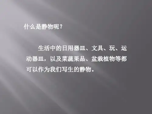 静物写生课件.ppt