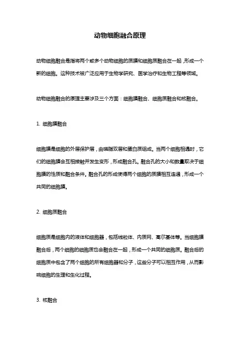 动物细胞融合原理
