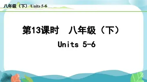 中考总复习人教版英语13-第13课时  八年级(下)Units5-6(精练册)