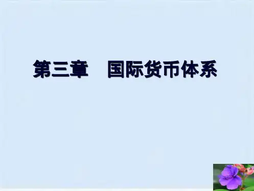 亚洲金融危机与国际货币体系改革(ppt 36页)(共34张PPT)