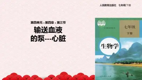 七年级下册生物课件-4.4.3《输送血液的泵--心脏》课件 人教版