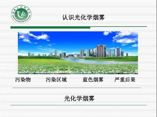 大气专题2光化学烟雾