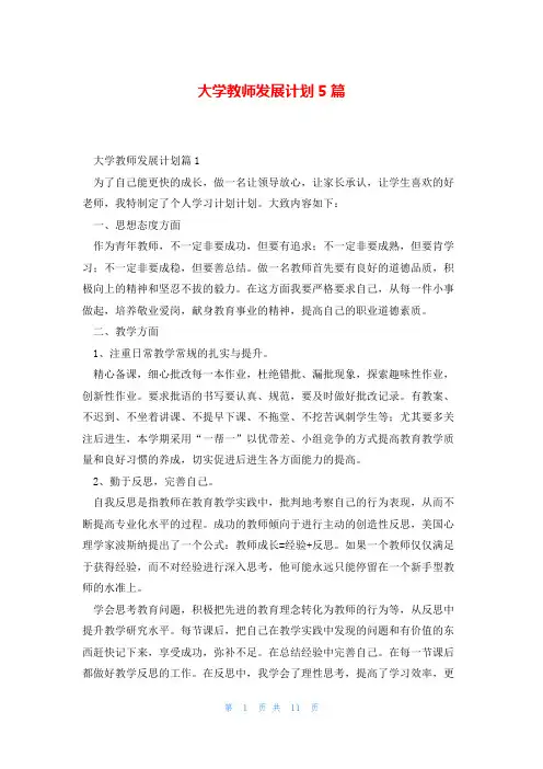 大学教师发展计划5篇