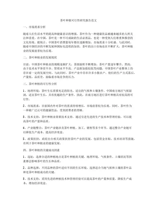 茶叶种植可行性研究报告范文