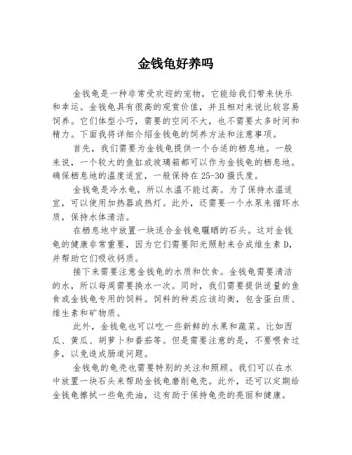 金钱龟好养吗