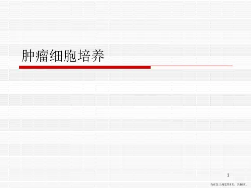 肿瘤细胞培养