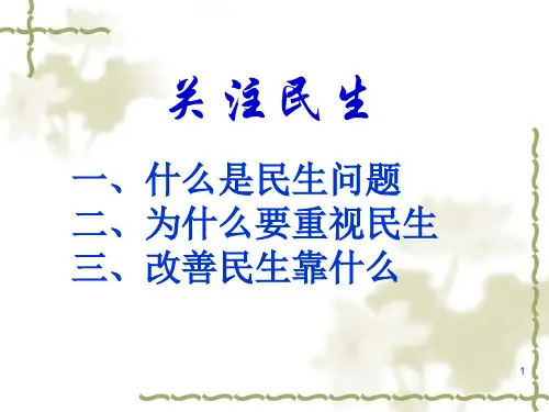《形势与政策》——-关注民生PPT课件