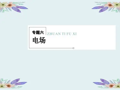 高考物理二轮复习冲刺课件：专题6电场