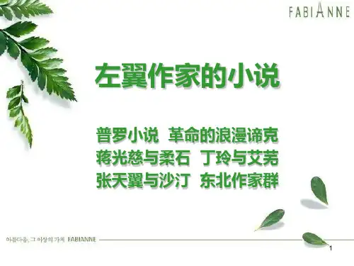 左翼作家的小说PPT课件