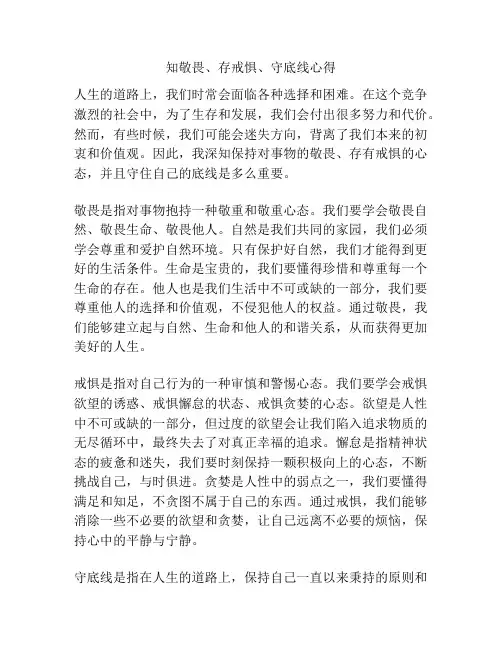 知敬畏、存戒惧、守底线心得
