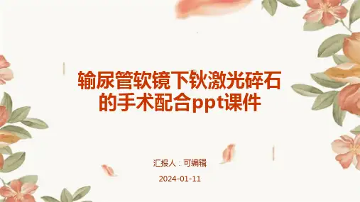 输尿管软镜下钬激光碎石的手术配合ppt课件