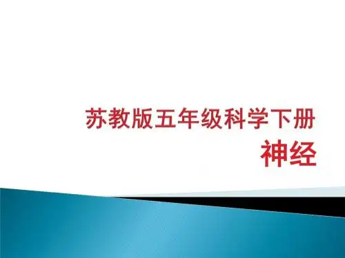 五年级下科学课件-神经-苏教版