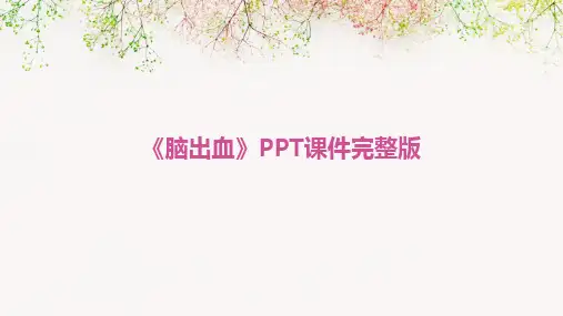 2024版《脑出血》PPT课件完整版