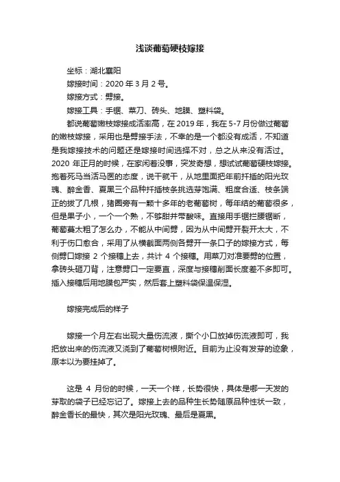浅谈葡萄硬枝嫁接