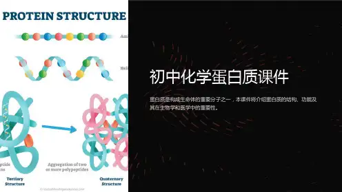 初中化学蛋白质课件