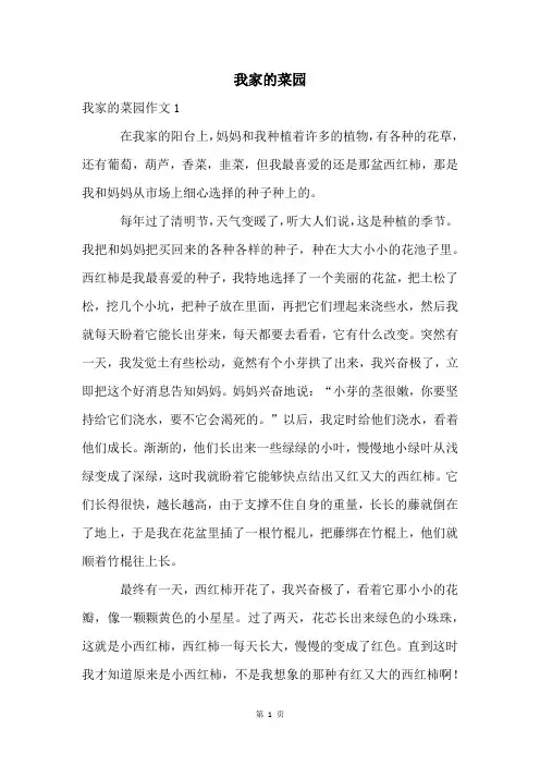 我家的菜园