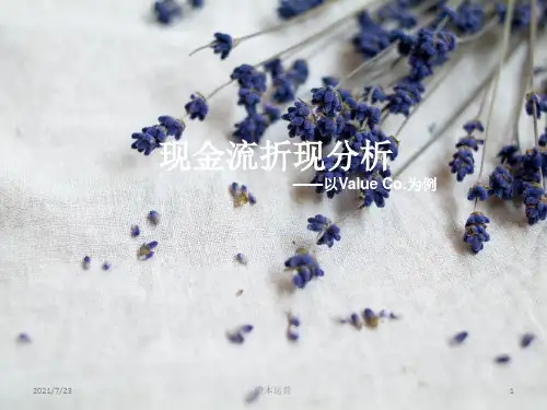 现金流折现分析课件
