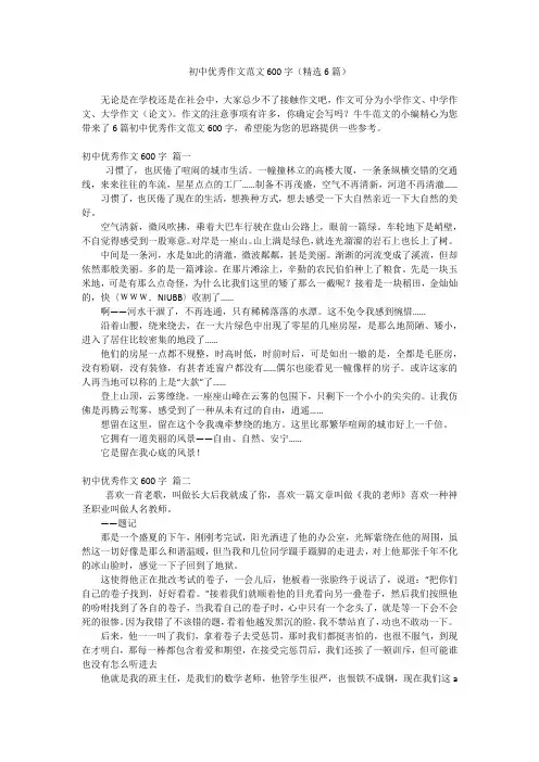 初中优秀作文范文600字(精选6篇)