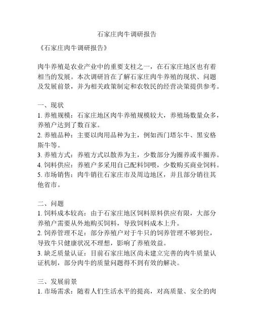 石家庄肉牛调研报告