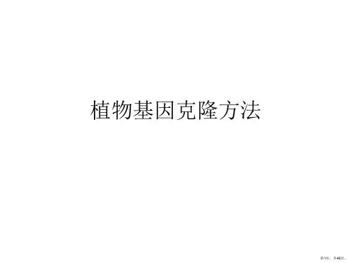 植物基因克隆方法