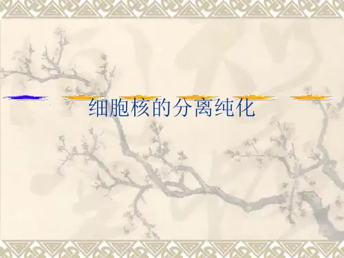 细胞核的分离纯化