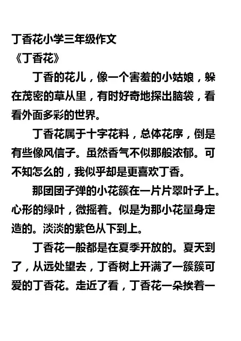 丁香花小学三年级作文