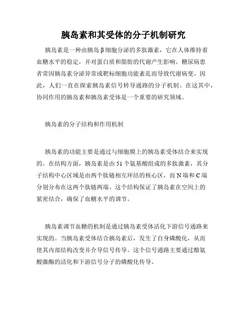 胰岛素和其受体的分子机制研究