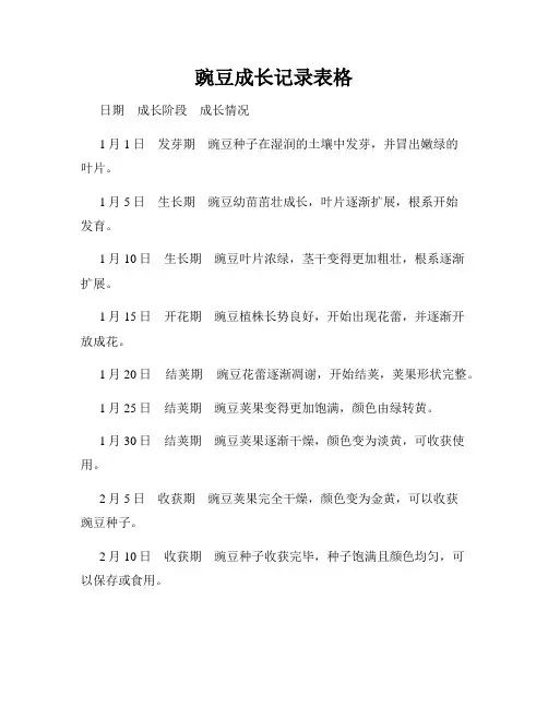 豌豆成长记录表格