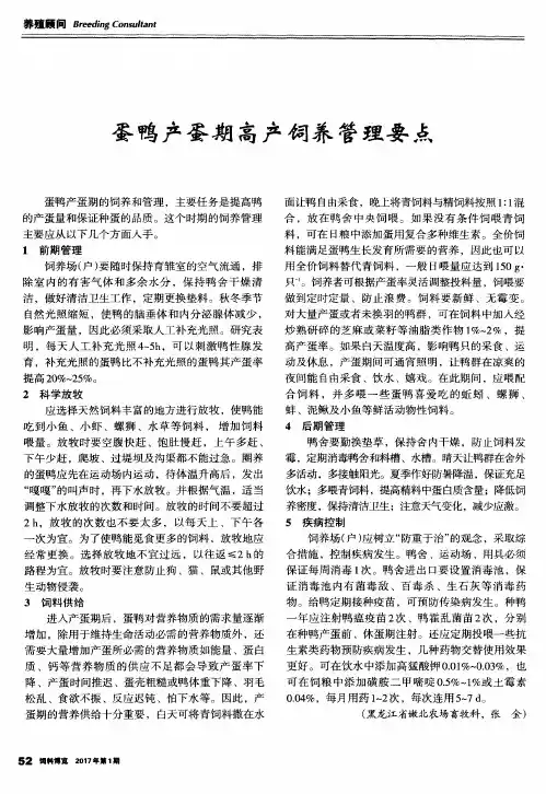 蛋鸭产蛋期高产饲养管理要点
