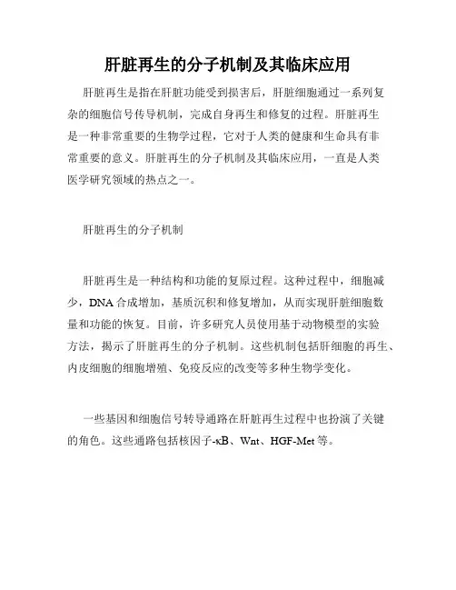 肝脏再生的分子机制及其临床应用