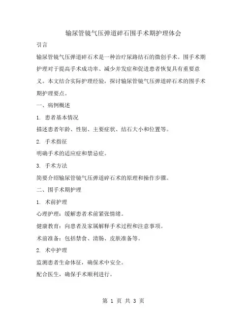 输尿管镜气压弹道碎石围手术期护理体会