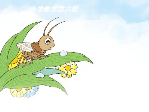 沪教版四年级上册数学圆的初步认识课件