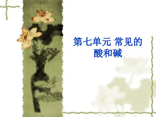 鲁教版 化学 九年级下册 第七单元 常见的酸和碱复习(32张ppt)