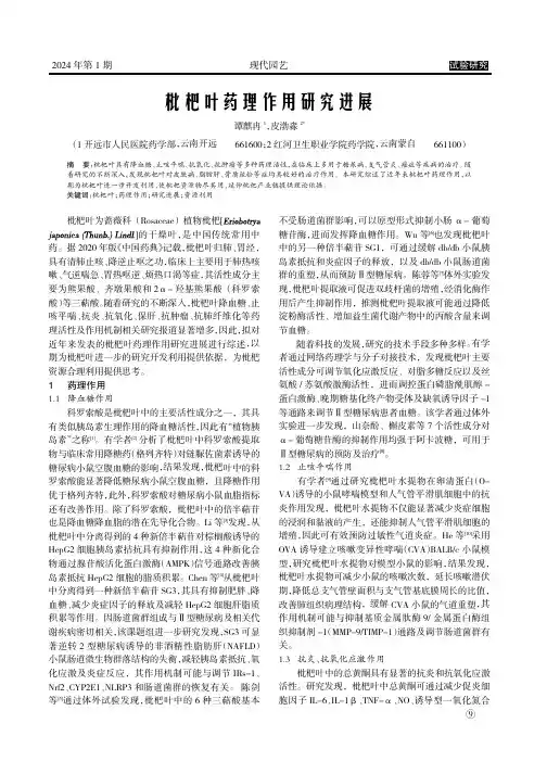 枇杷叶药理作用研究进展