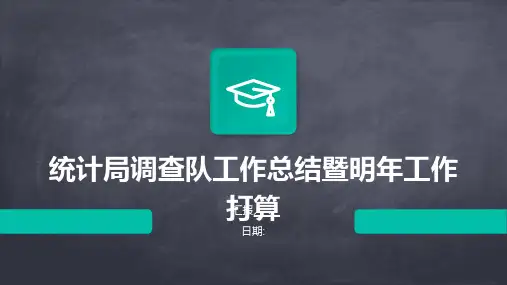 统计局调查队工作总结暨明年工作打算