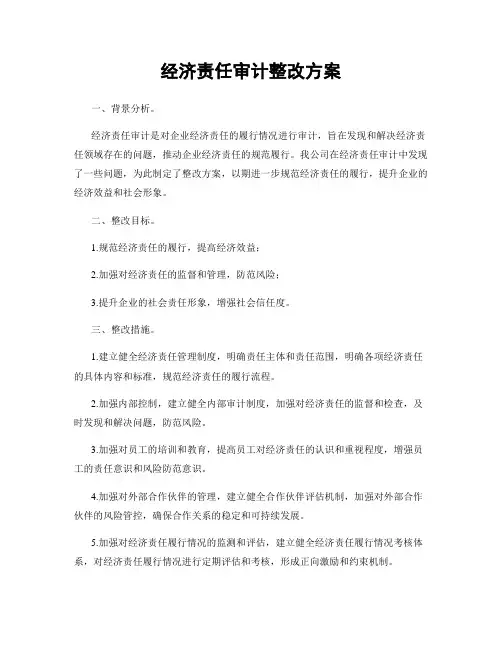 经济责任审计整改方案