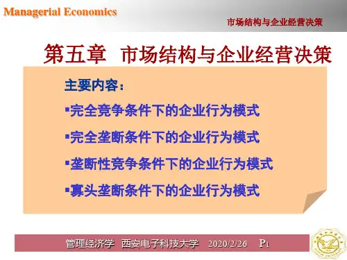 管理经济学第五章-资料