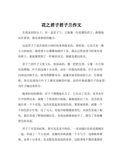 花之君子君子兰作文