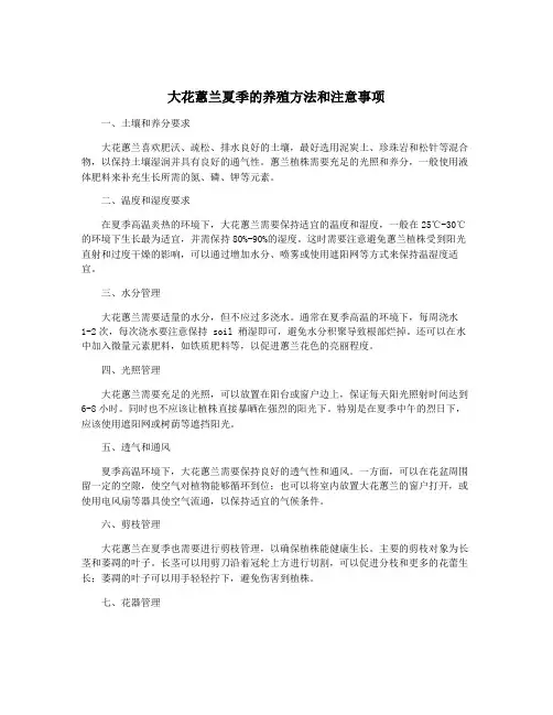 大花蕙兰夏季的养殖方法和注意事项