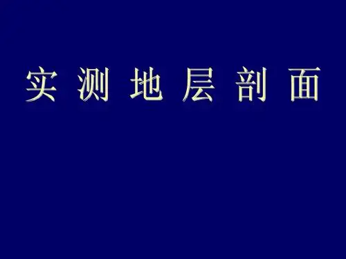 野外实测地层剖面实习教程