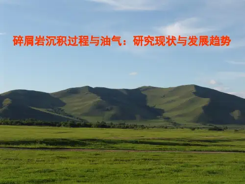 碎屑岩沉积过程与油气：研究现状与发展趋势