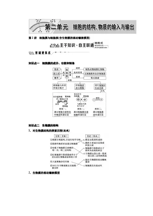细胞膜与细胞核