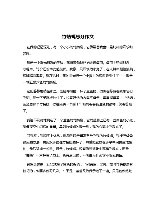 竹蜻蜓总分作文