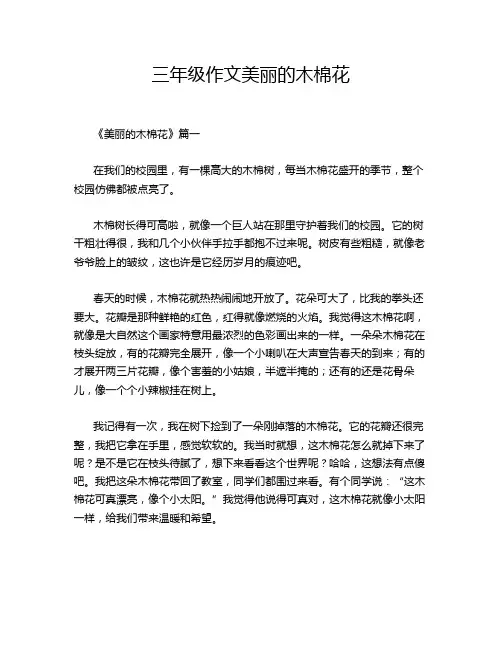 三年级作文美丽的木棉花