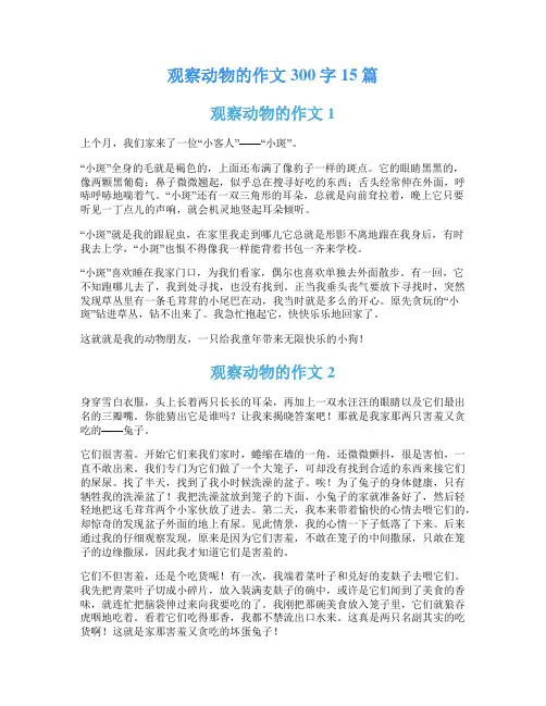 观察动物的作文300字15篇