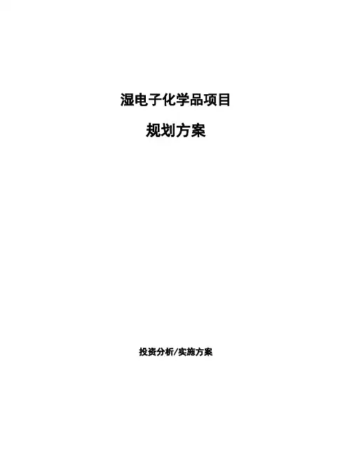 湿电子化学品项目规划方案