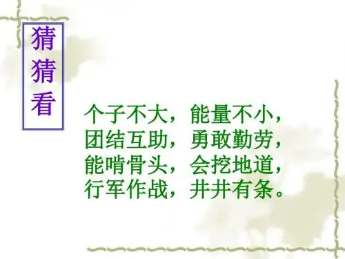 生命的壮歌