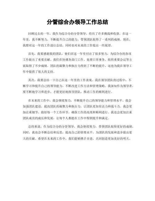分管综合办领导工作总结