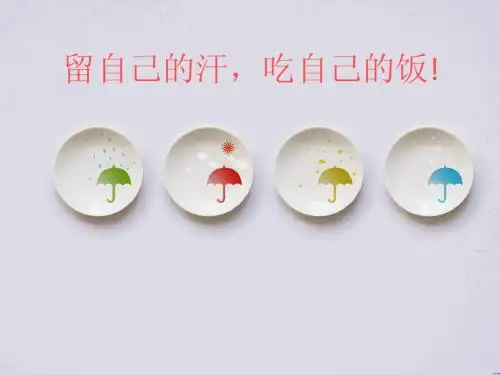 巴菲特.ppt张蕊 1412