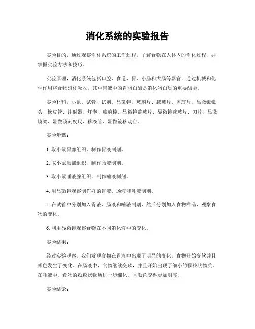 消化系统的实验报告